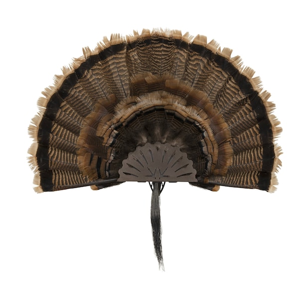 Allen Co EZ Mount Turkey Fan Display, Brown 7238 - main